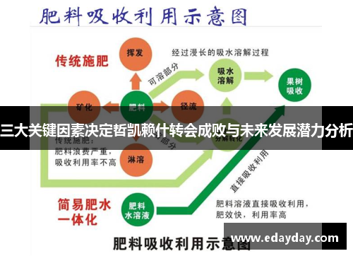 三大关键因素决定哲凯赖什转会成败与未来发展潜力分析
